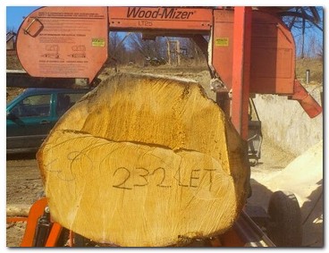WoodMizer, Pořez kulatiny na Vysočině, mobilní katr, nízké ceny, pila řez
